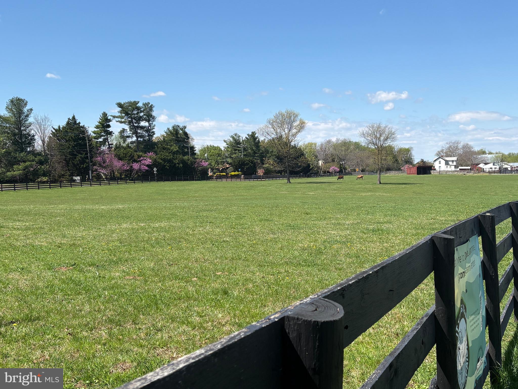 BORNEHAM WOOD - Residential