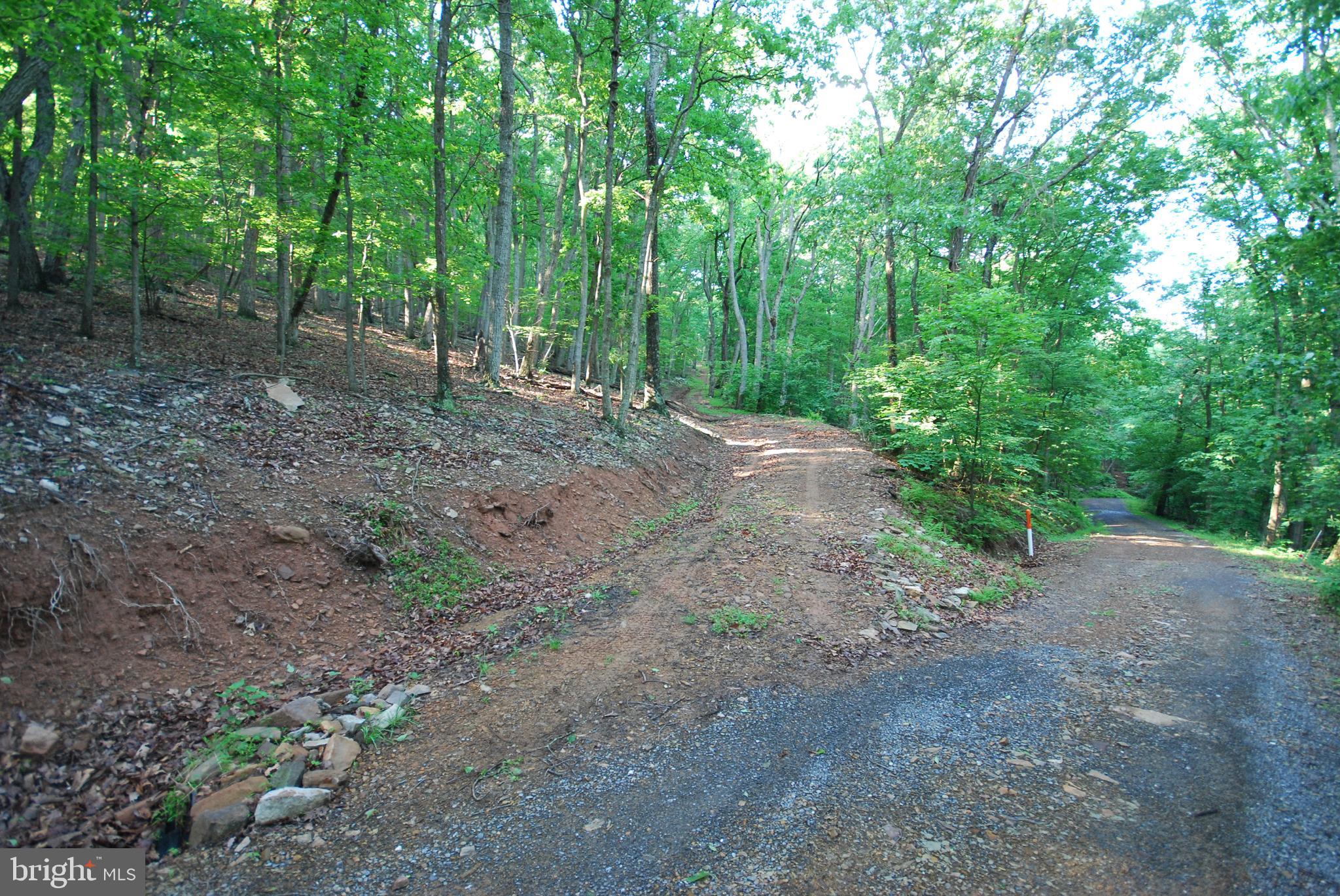 Lot 23 COVE CREEK