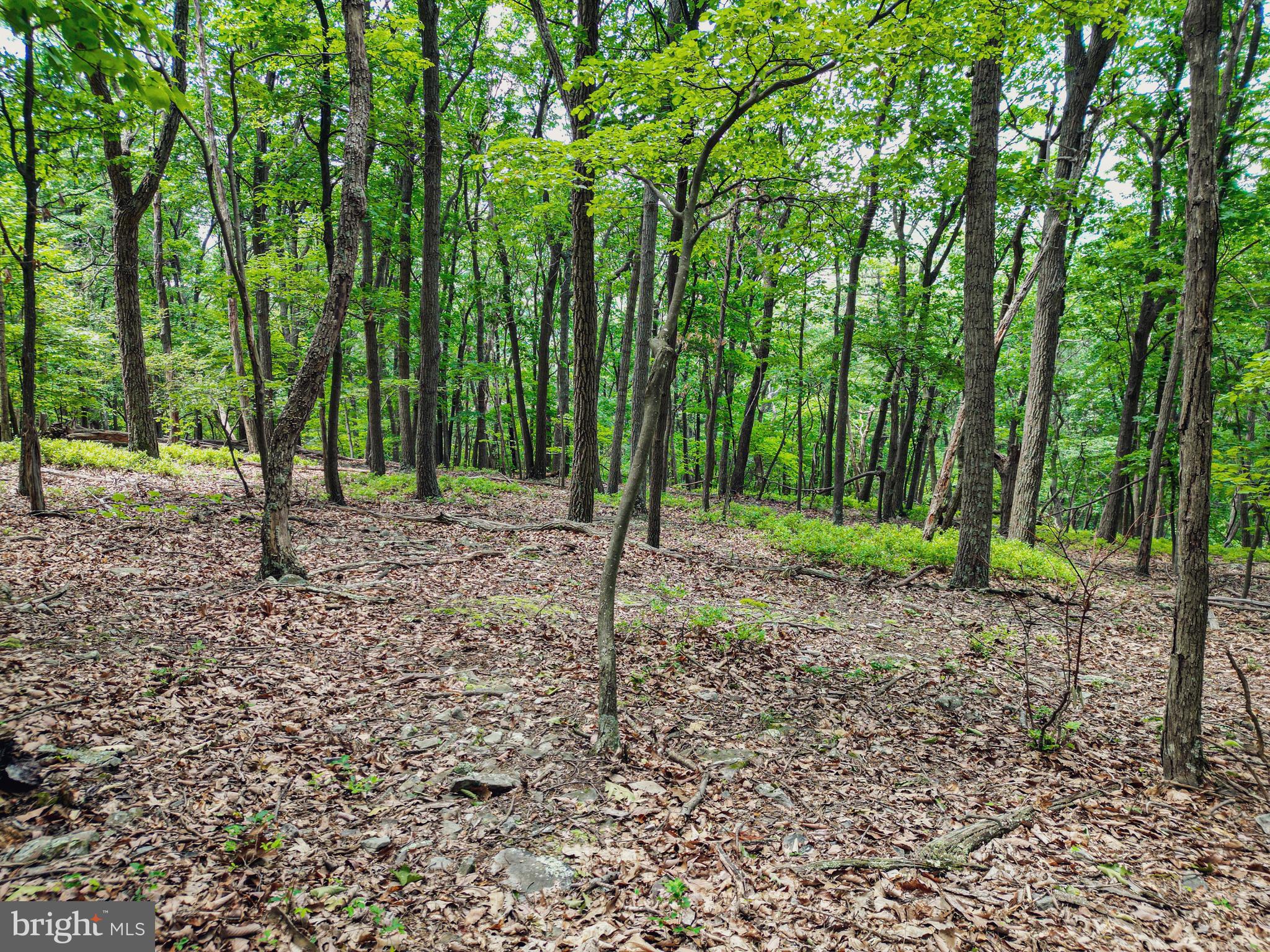 Lot 23 COVE CREEK