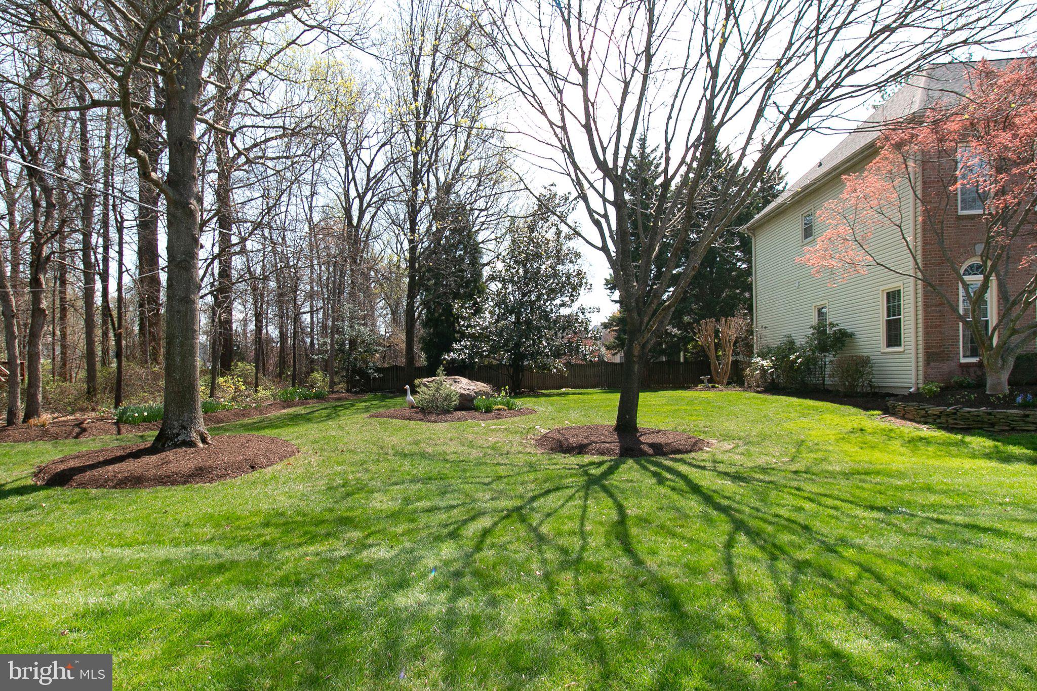 POPLAR PARK - Residential