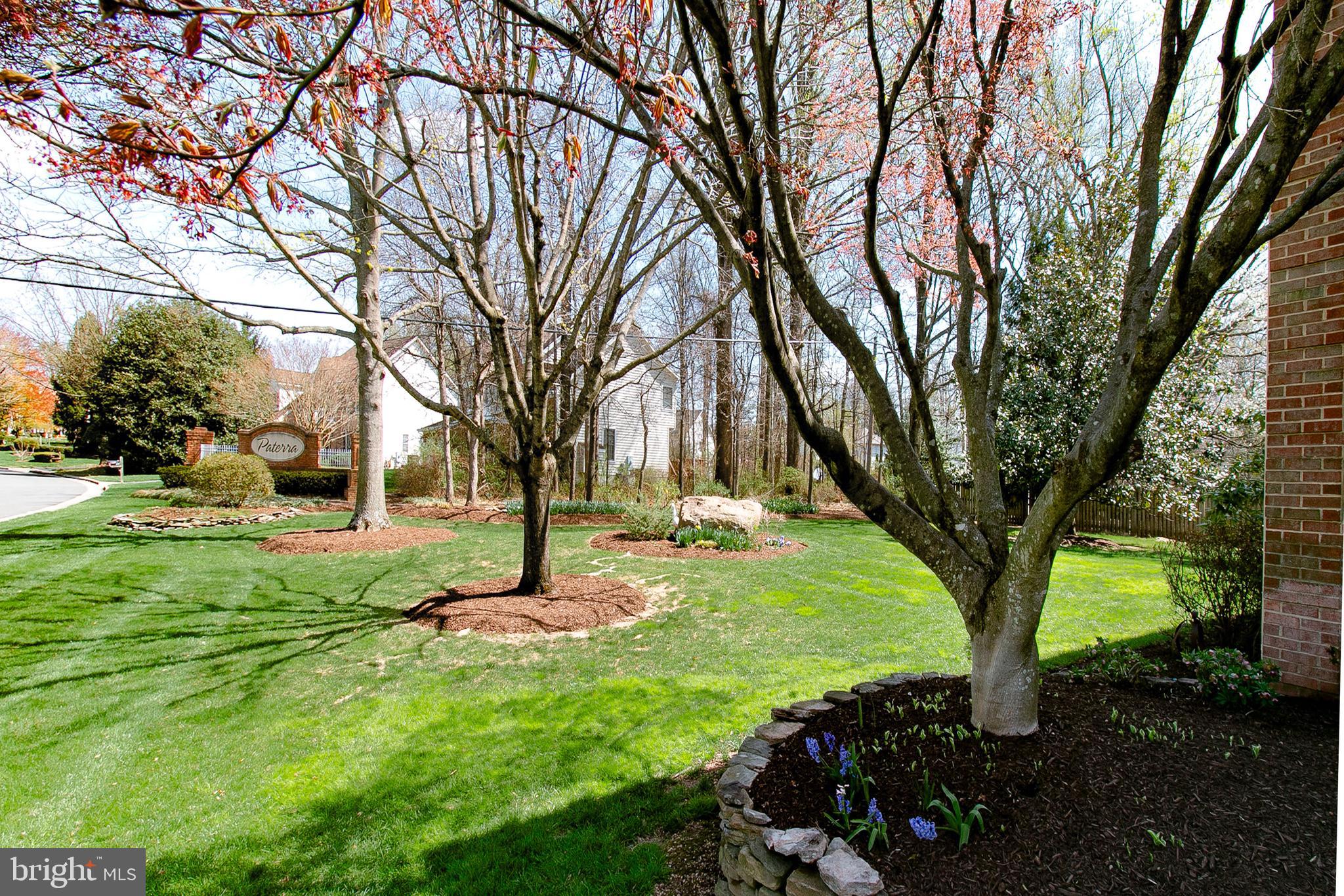 13897 LEWIS MILL WAY