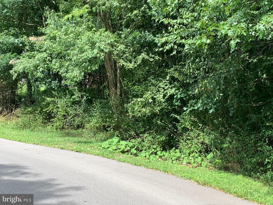 This lot had to be combined with Lot 31 Palmer Lane in order to get one buildable site. Incredible building lot in upscale neighborhood. Close to golf course and all town activities. Ready for your building plans. Wooded lot. Lot 31 also available. Special pricing available for multi-lot purchase - contact listing agent for details. DISCLOSURE:  RAILEY REALTY IS NOT THE CARETAKER OF PROPERTIES LISTED BY IT. DURING INCLEMENT WEATHER EVENTS, PROSPECTIVE PURCHASERS AND THEIR AGENTS ASSUME ALL LIABILITY ASSOCIATED WITH WEATHER AT THE PROPERTY.