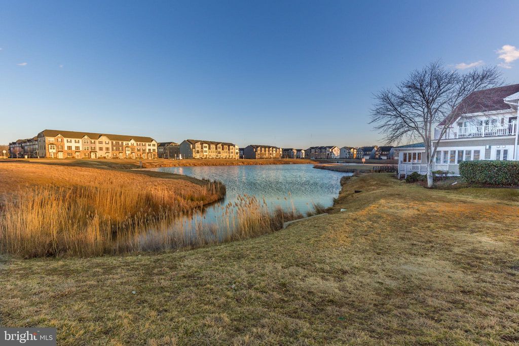 listing image 85