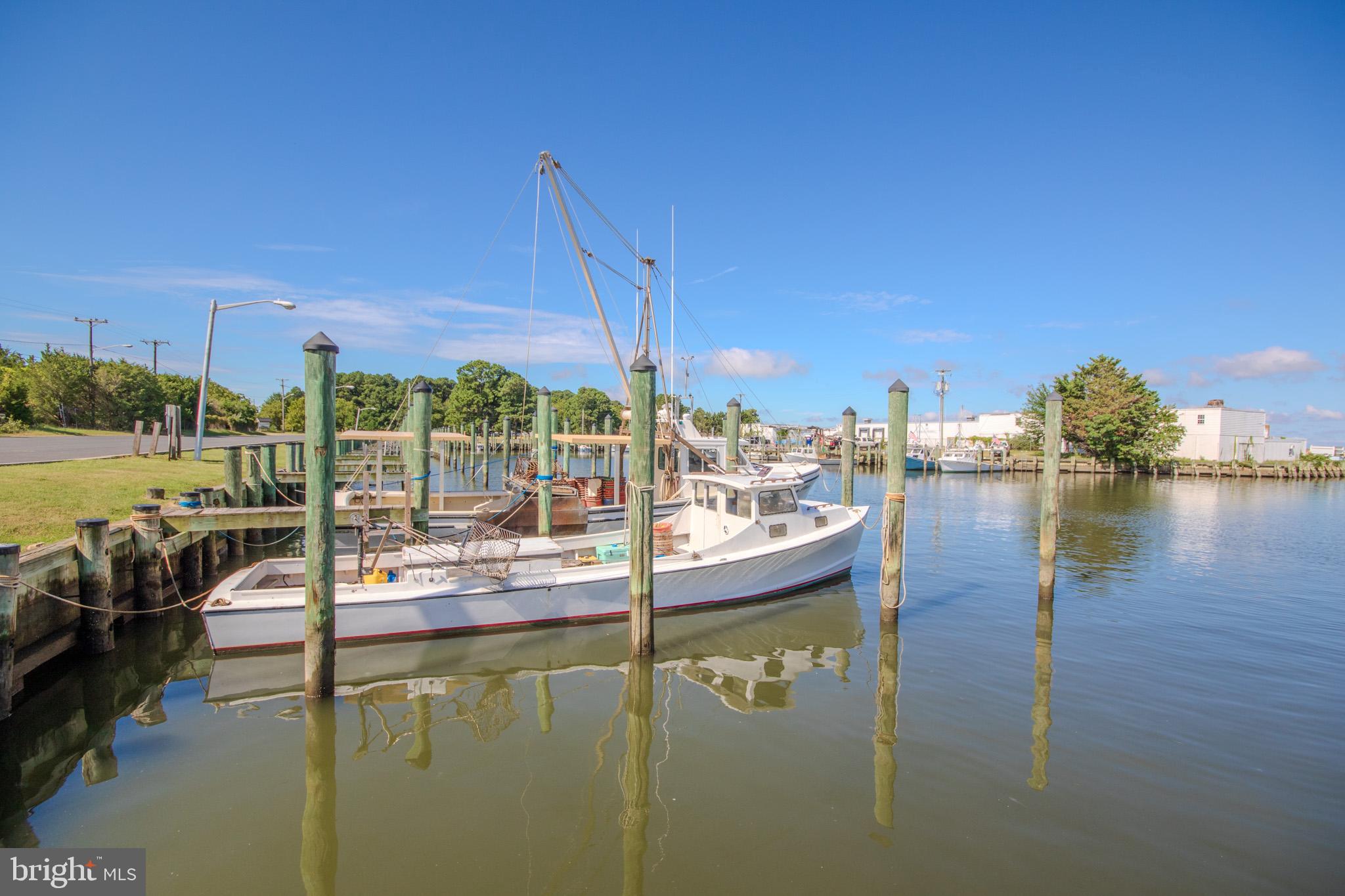 NANTICOKE ACRES - Residential