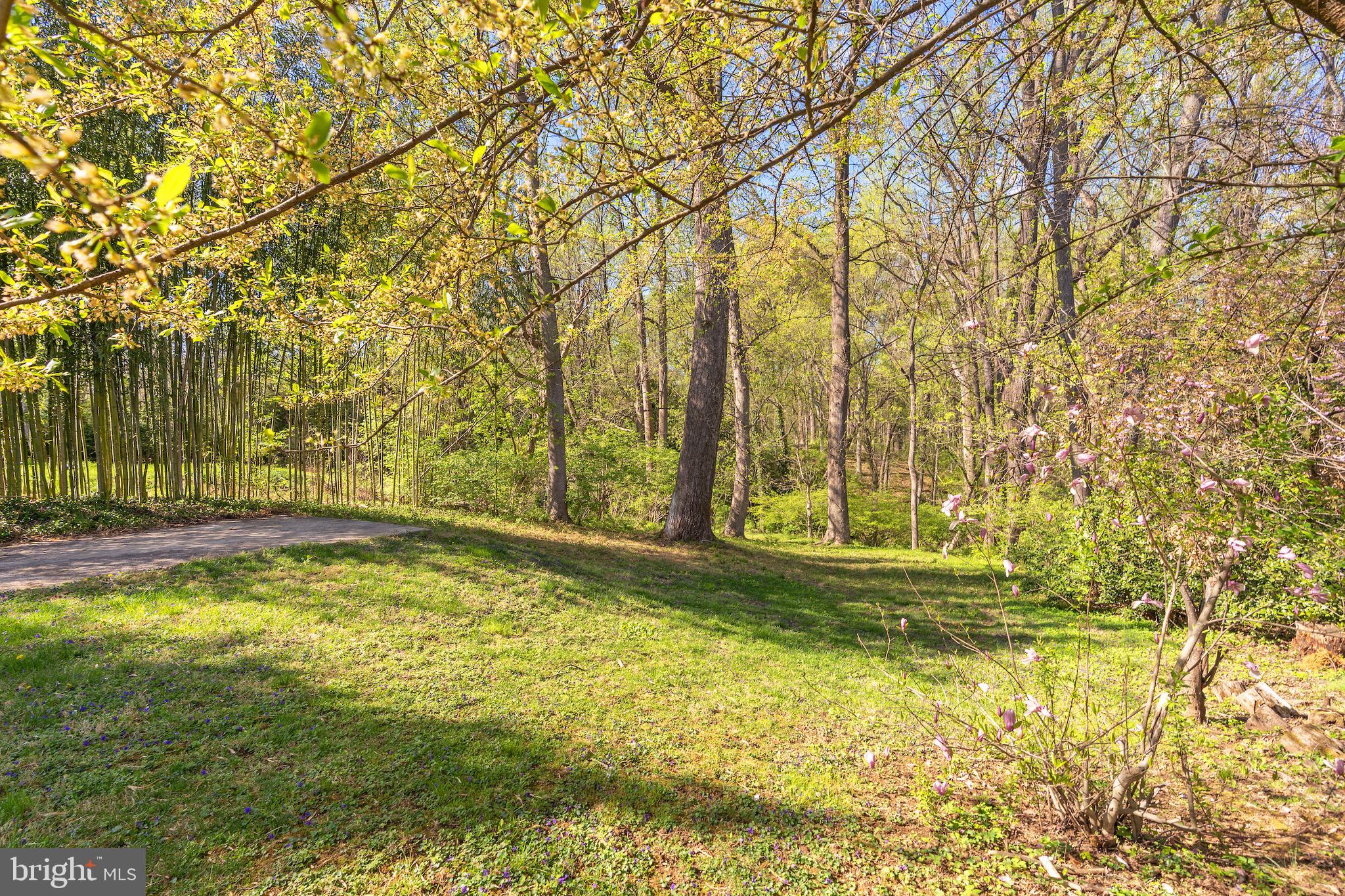7509 ARDEN ROAD