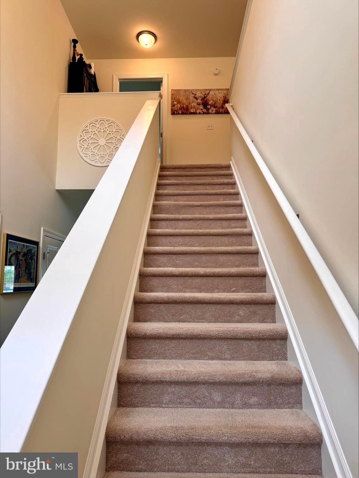 DOGWOOD MEADOWS - Residential