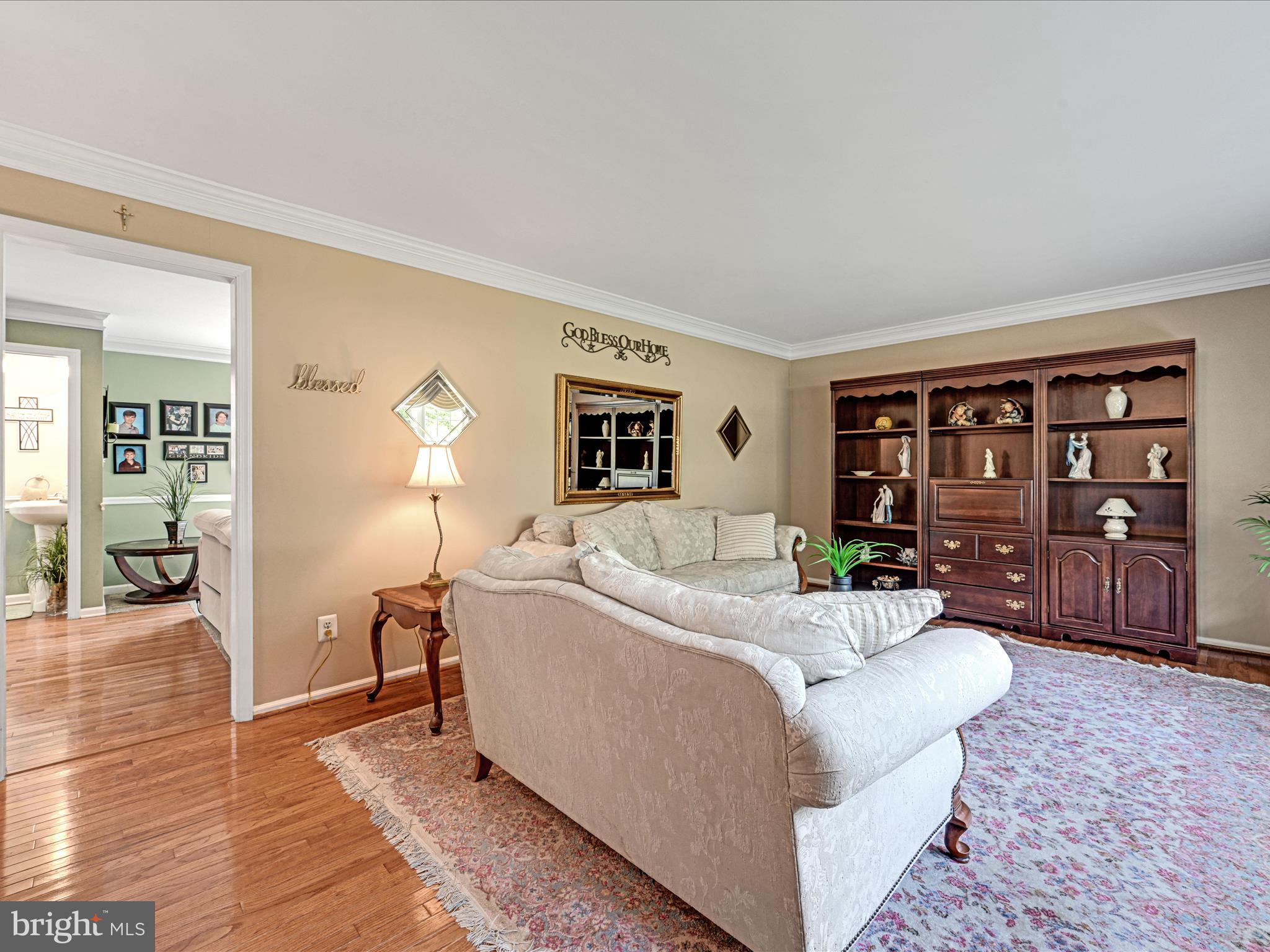 OLDE MARPLE ESTATE - Residential