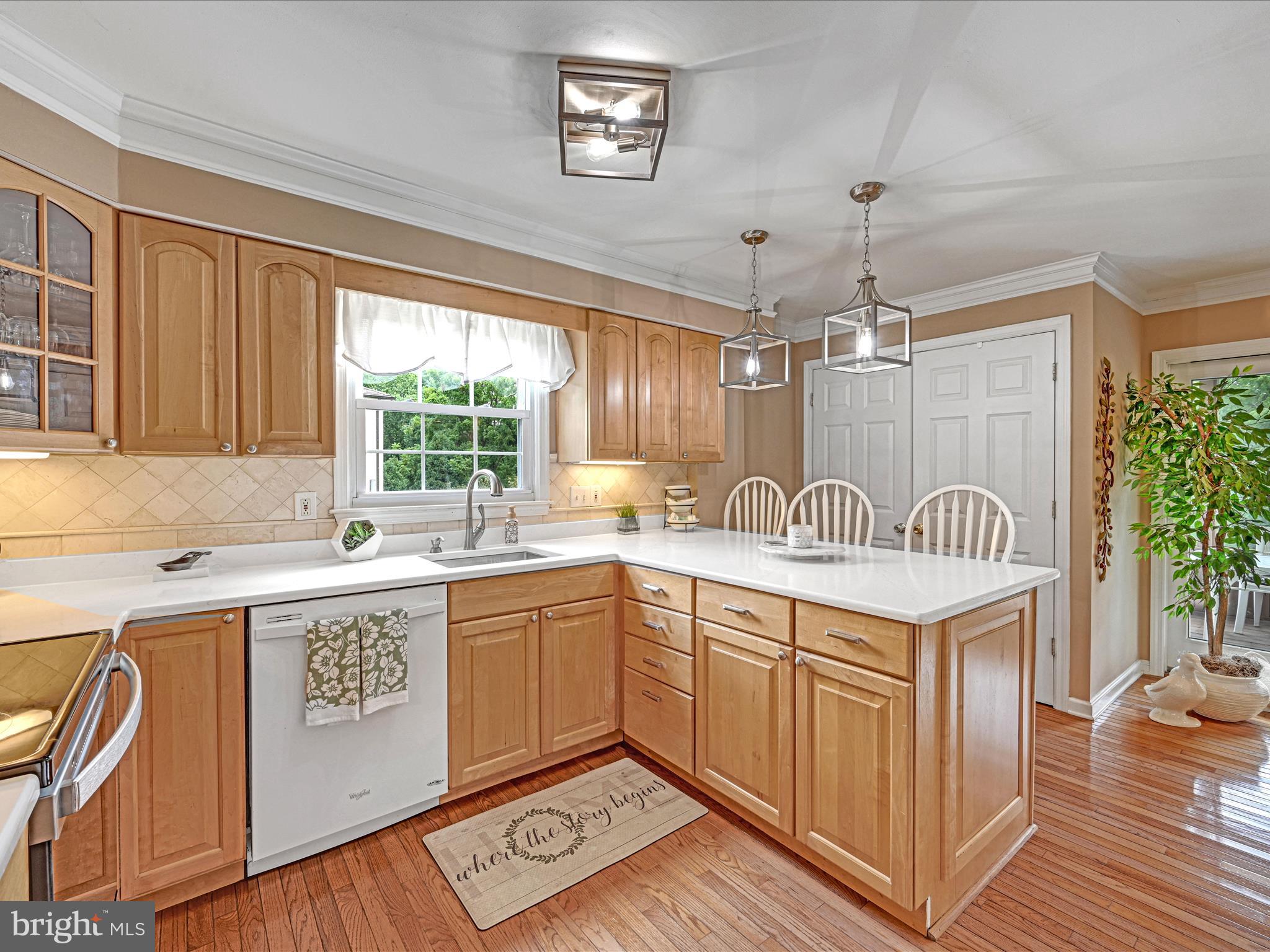 OLDE MARPLE ESTATE - Residential