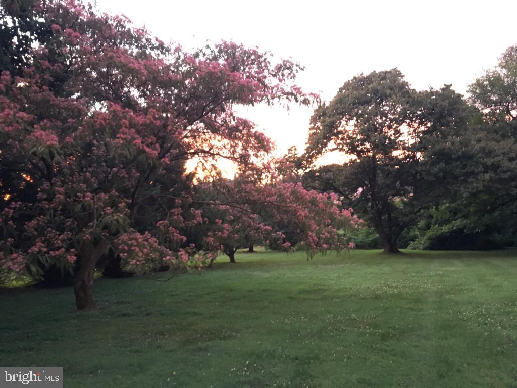 MONTGOMERY HILL - Residential