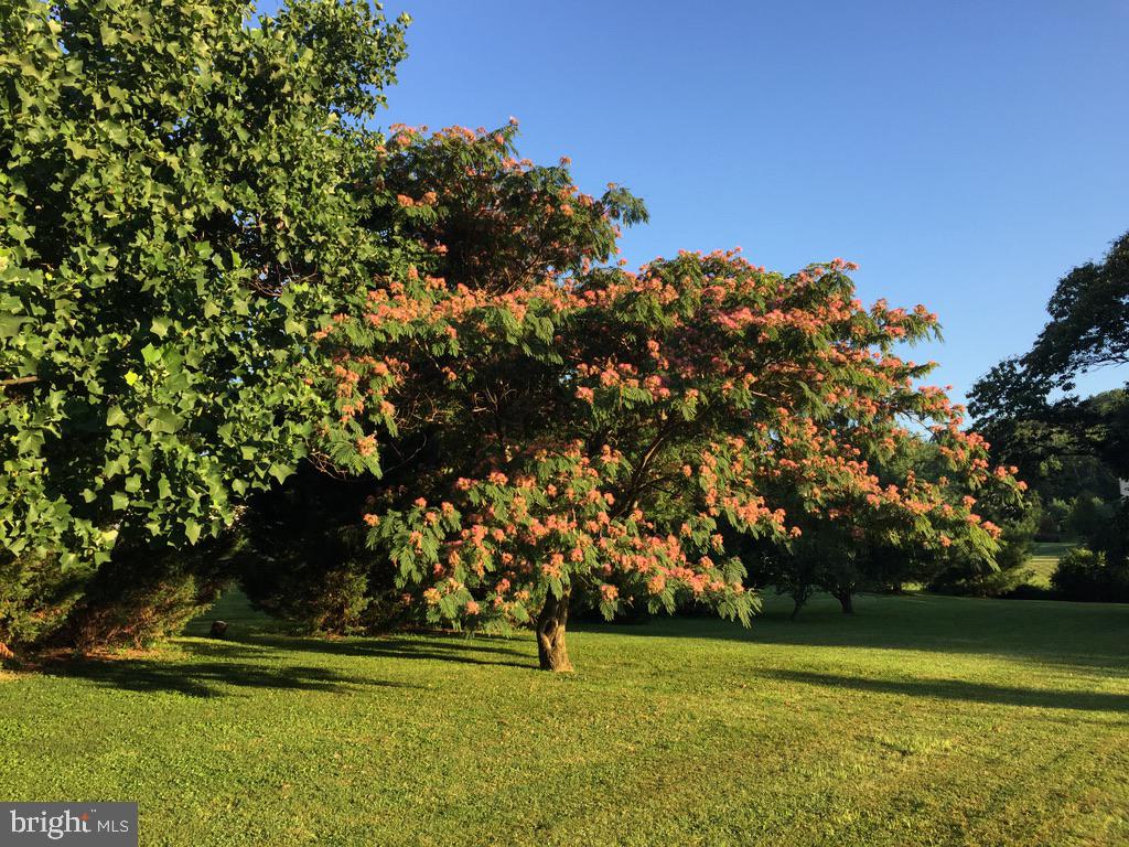 MONTGOMERY HILL - Residential