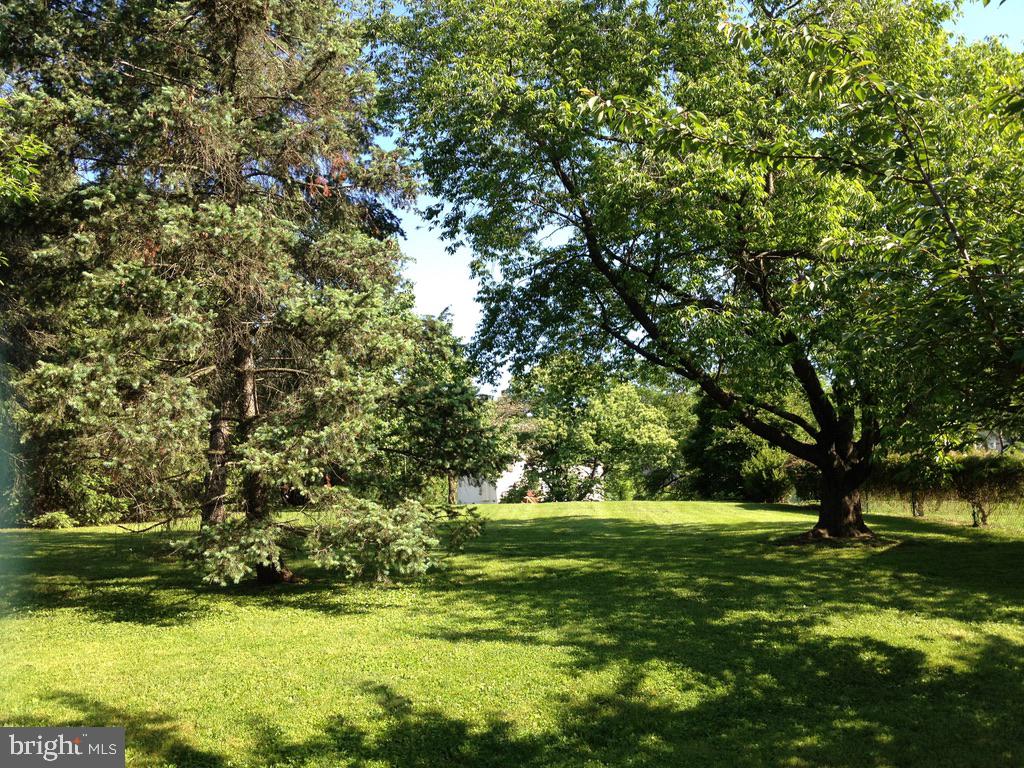 MONTGOMERY HILL - Residential