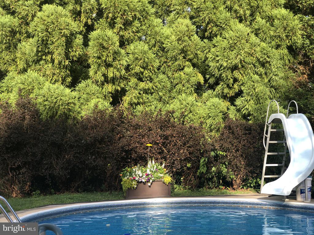 MONTGOMERY HILL - Residential