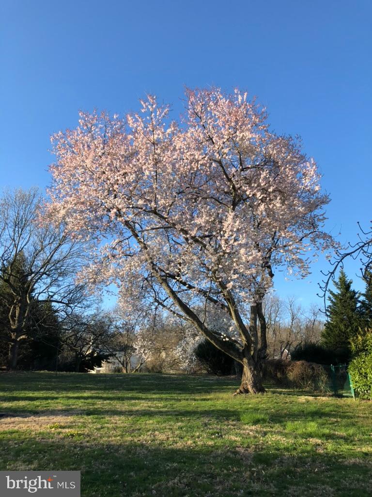 MONTGOMERY HILL - Residential