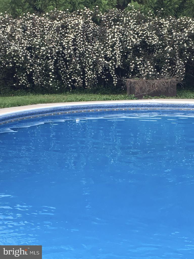 MONTGOMERY HILL - Residential