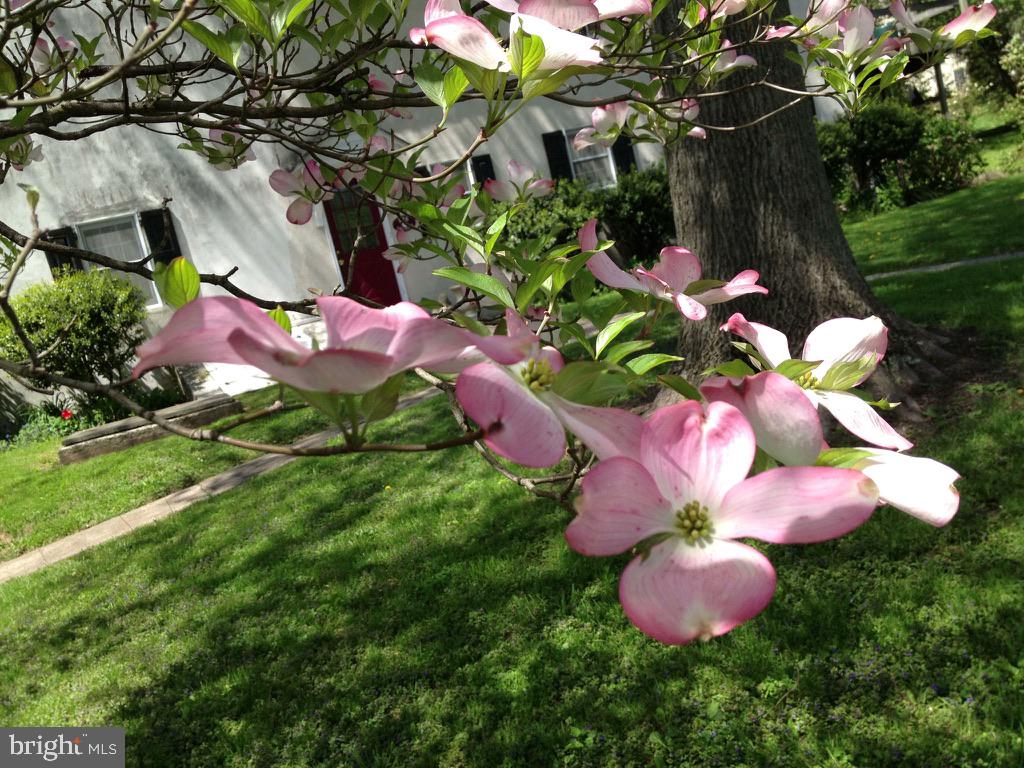 MONTGOMERY HILL - Residential