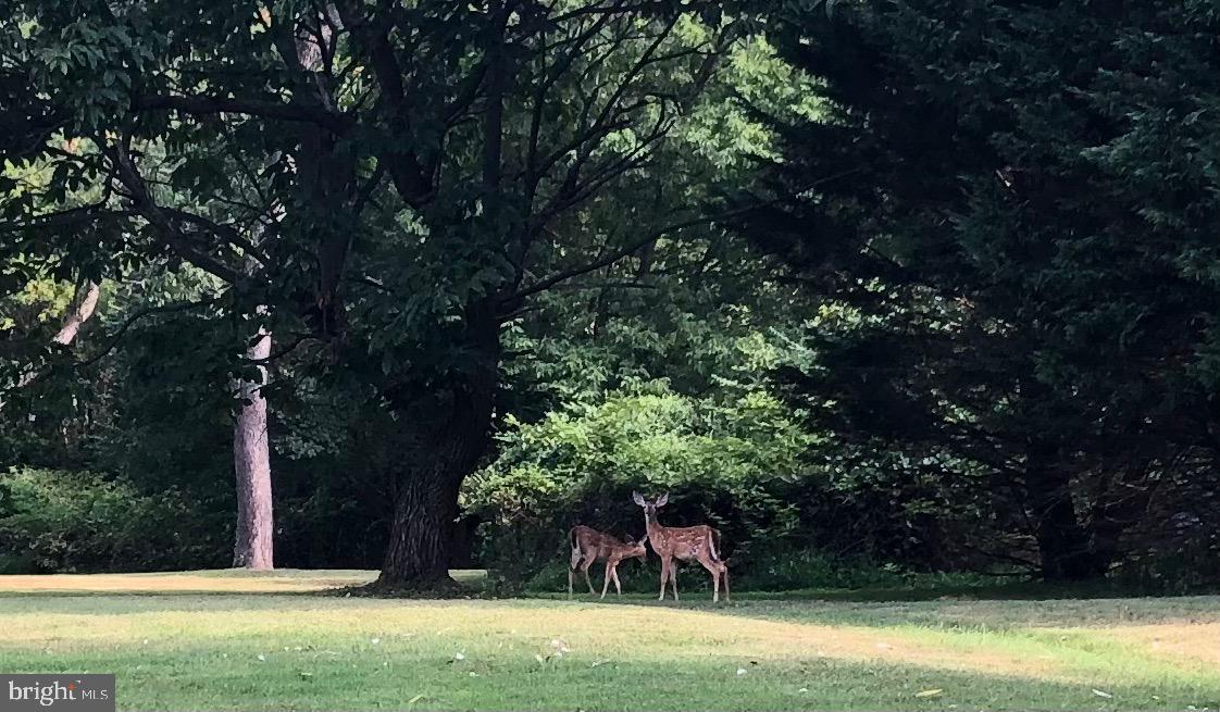 MONTGOMERY HILL - Residential