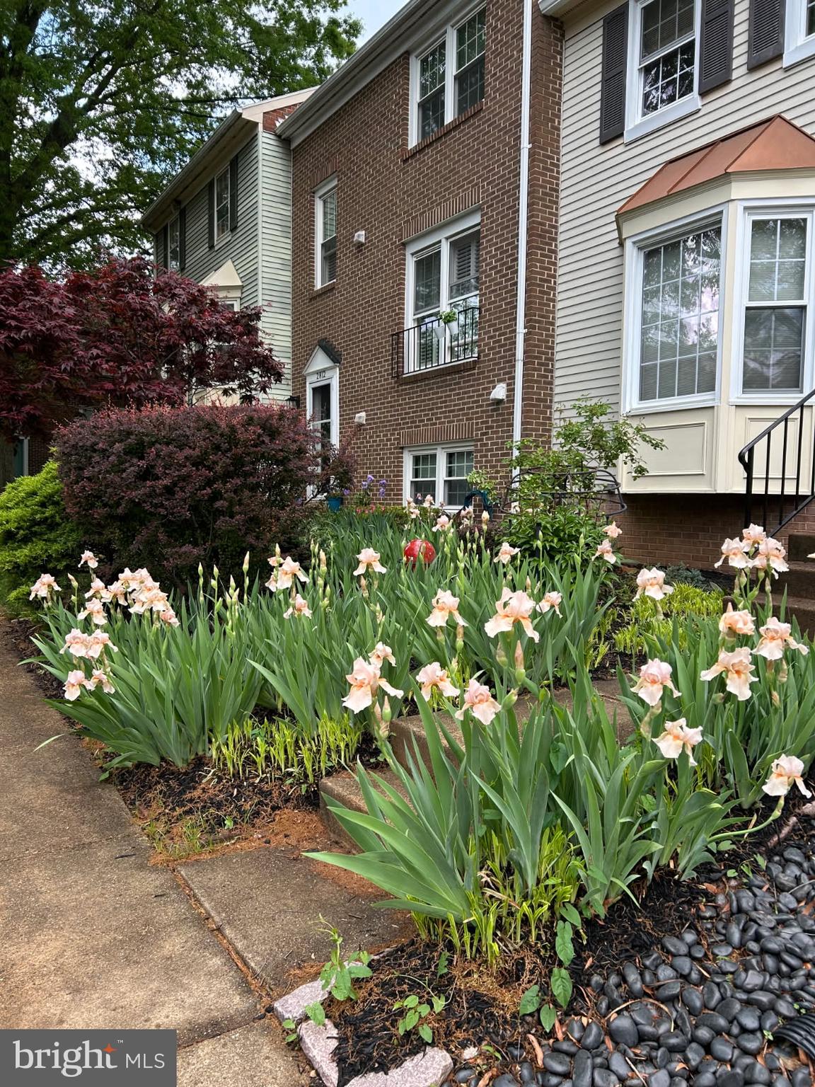 DUNN LORING VILLAGE - Residential