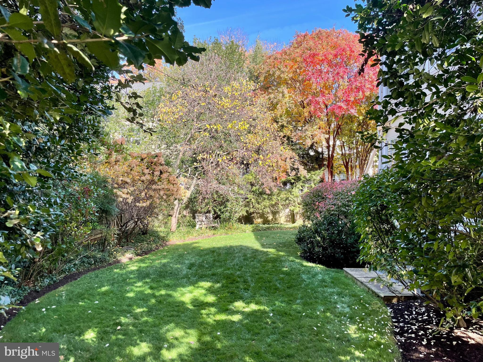 CHEVY CHASE - Residential