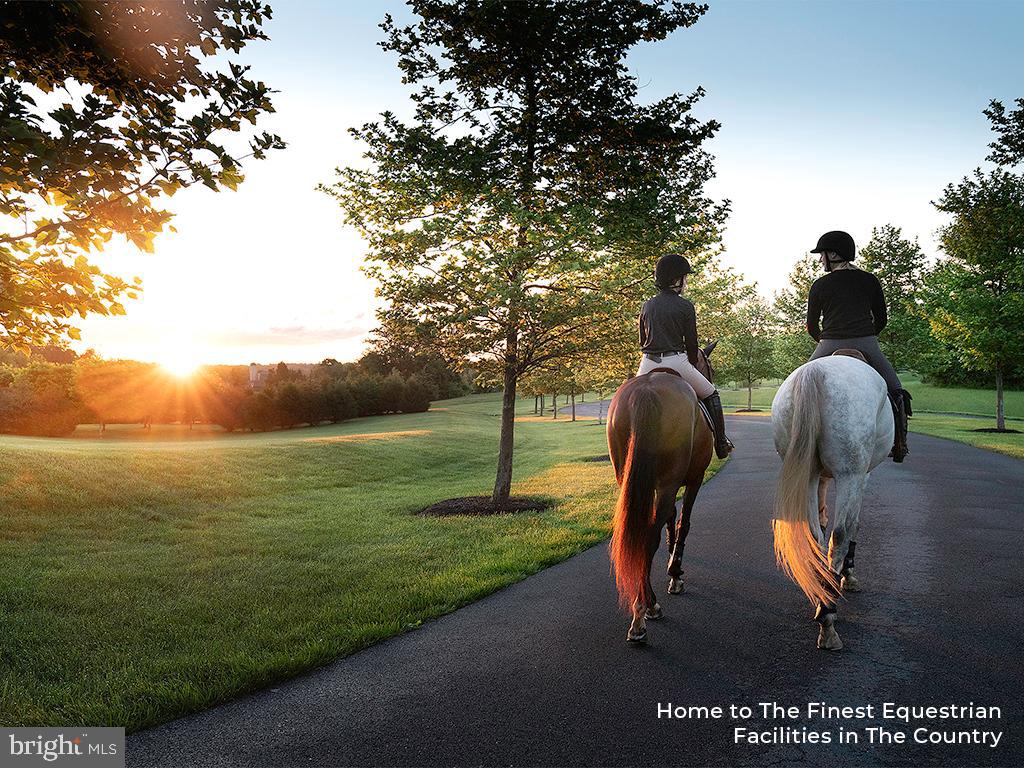 RESIDENCES AT SALAMANDER - Residential