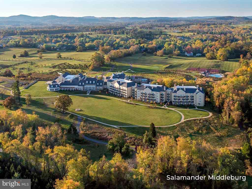 RESIDENCES AT SALAMANDER - Residential