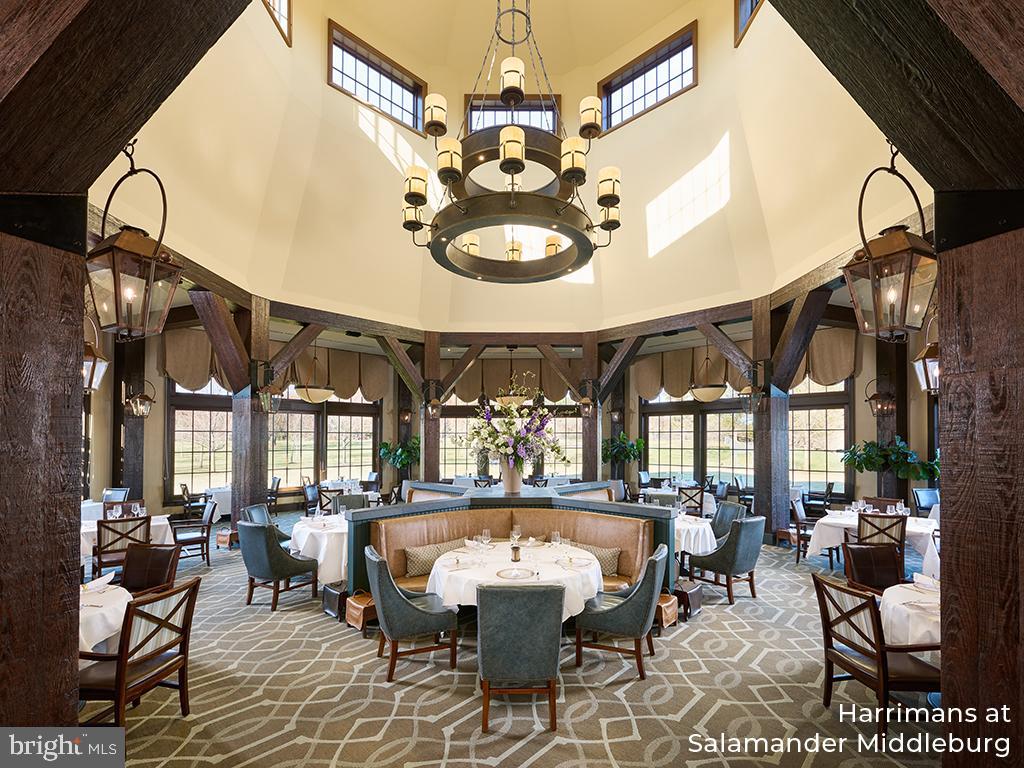 RESIDENCES AT SALAMANDER - Residential