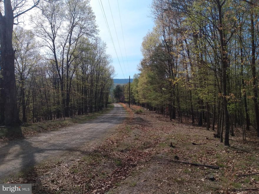 Nice 2.20 Acre Building Lot with Northwest mountain views! mature hardwoods, septic permit on file and good roads. The southern county make a great location for a Winchester VA commute. Near the Cacapon State Park and Berkeley Springs for all your outdoor activities, shopping and culture. Have a look Today!