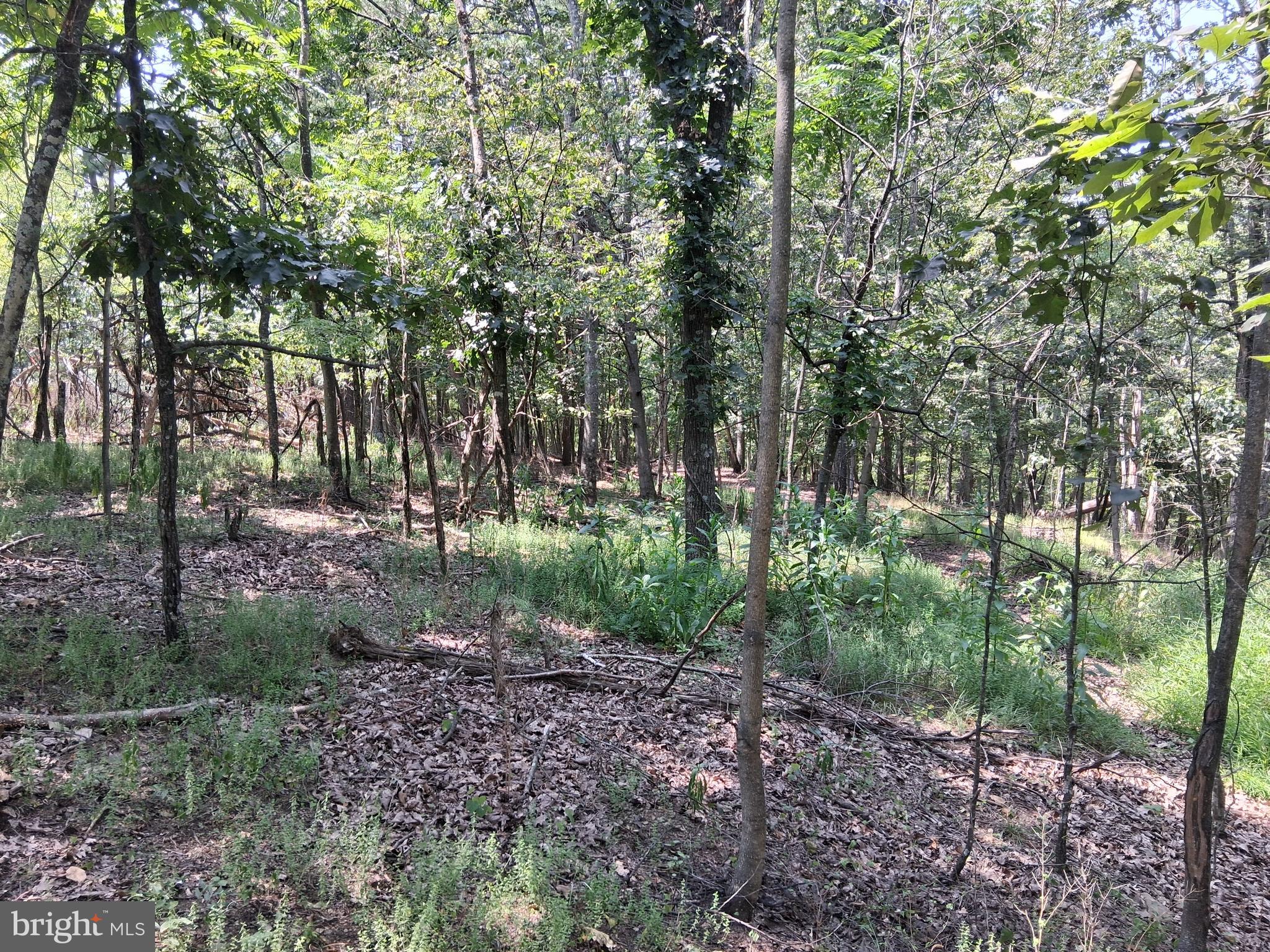 COLONIAL VILLAGE - Land