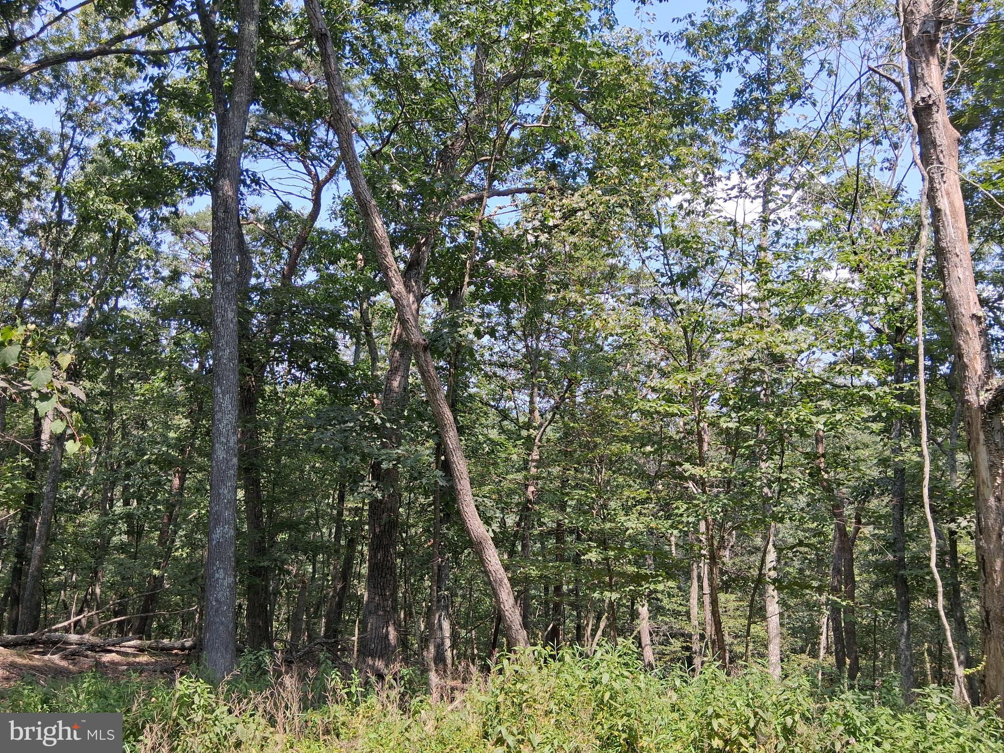 COLONIAL VILLAGE - Land