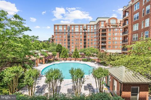 12500 PARK POTOMAC AVENUE 801S POTOMAC MD 20854