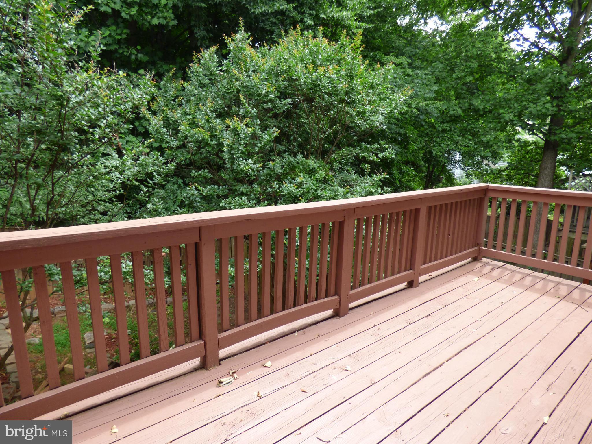 MONTCLAIR ST3 - Residential Lease