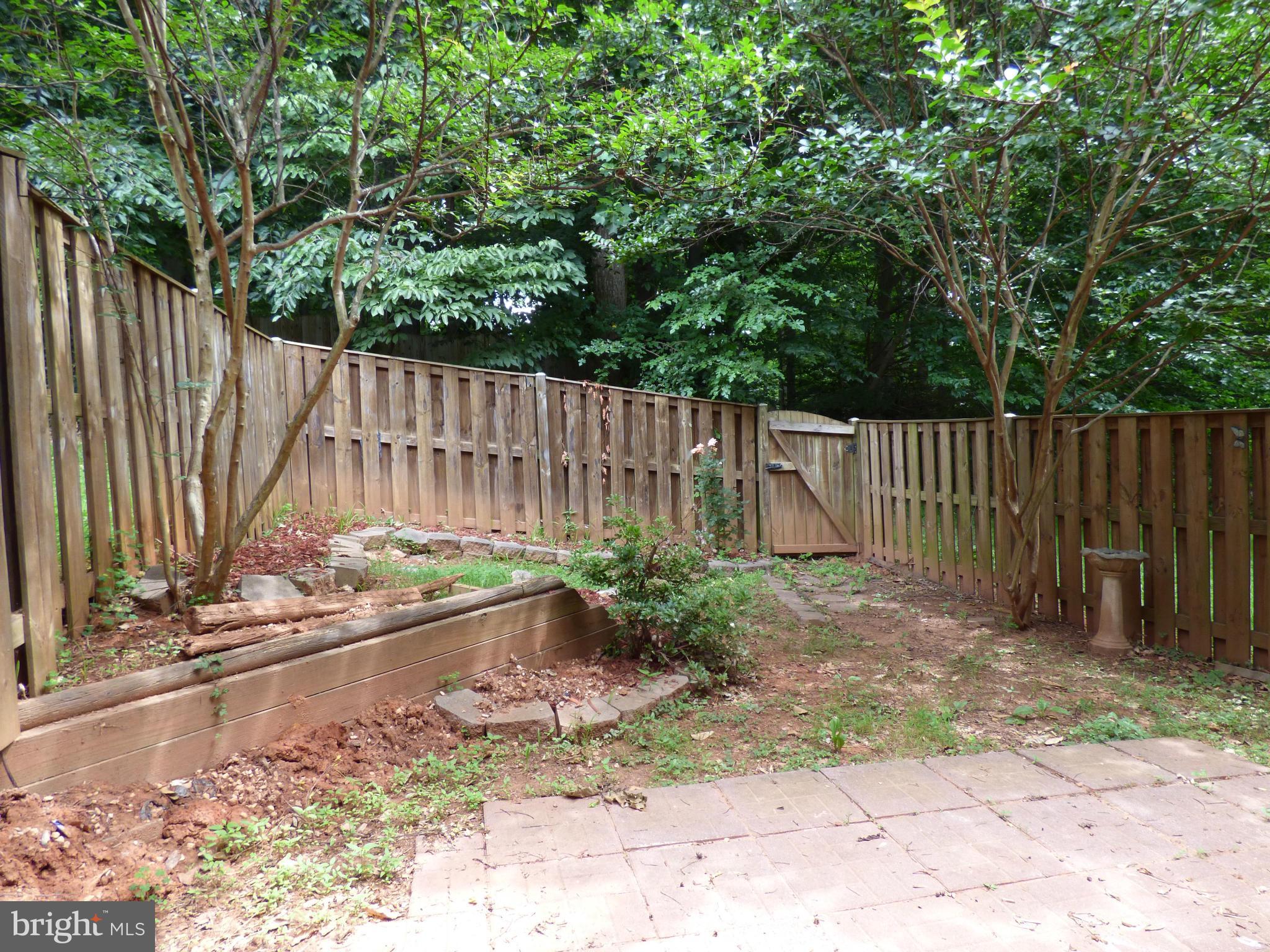 MONTCLAIR ST3 - Residential Lease