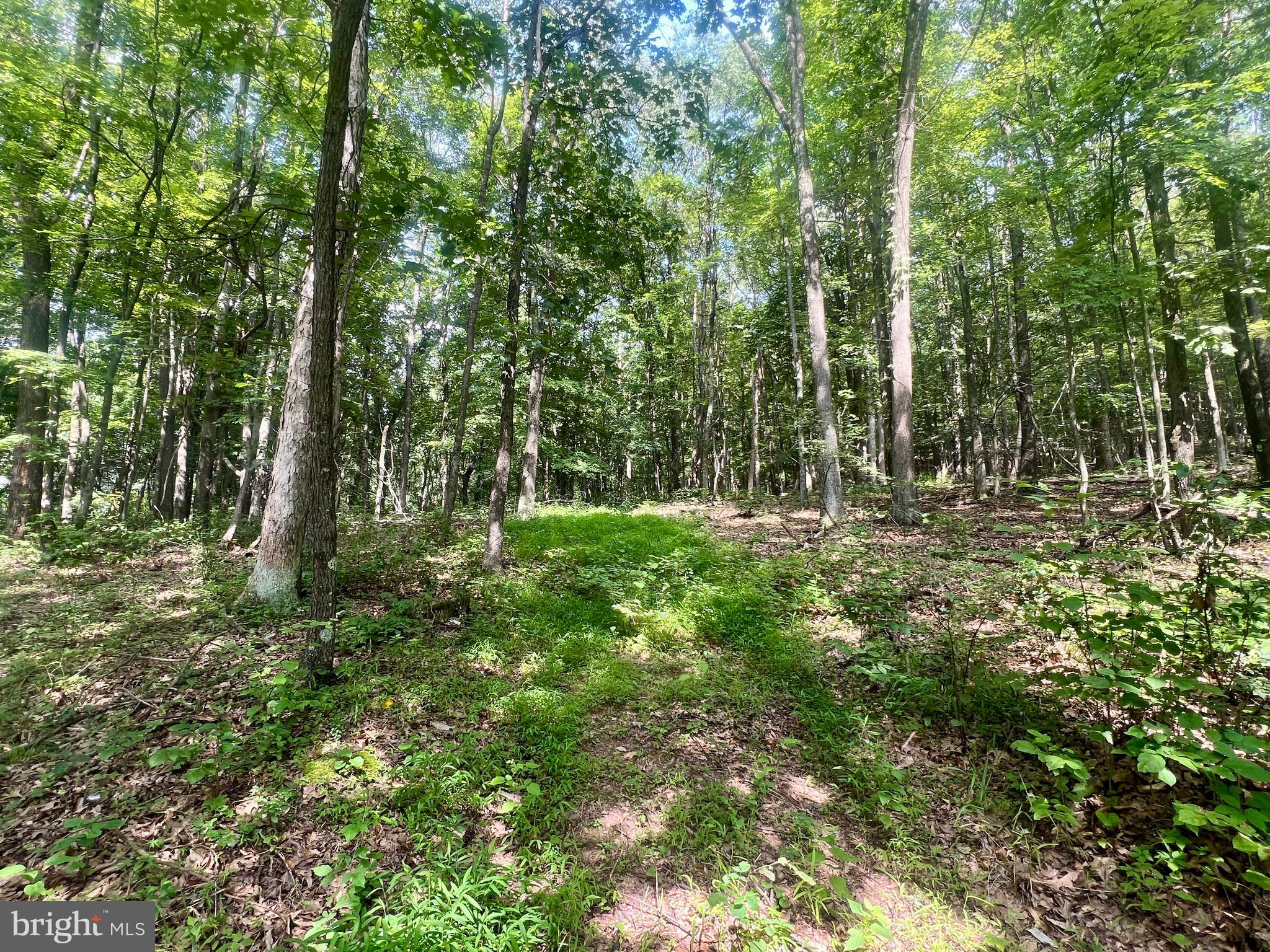 00 BRUMBAUGH CEMETARY ROAD