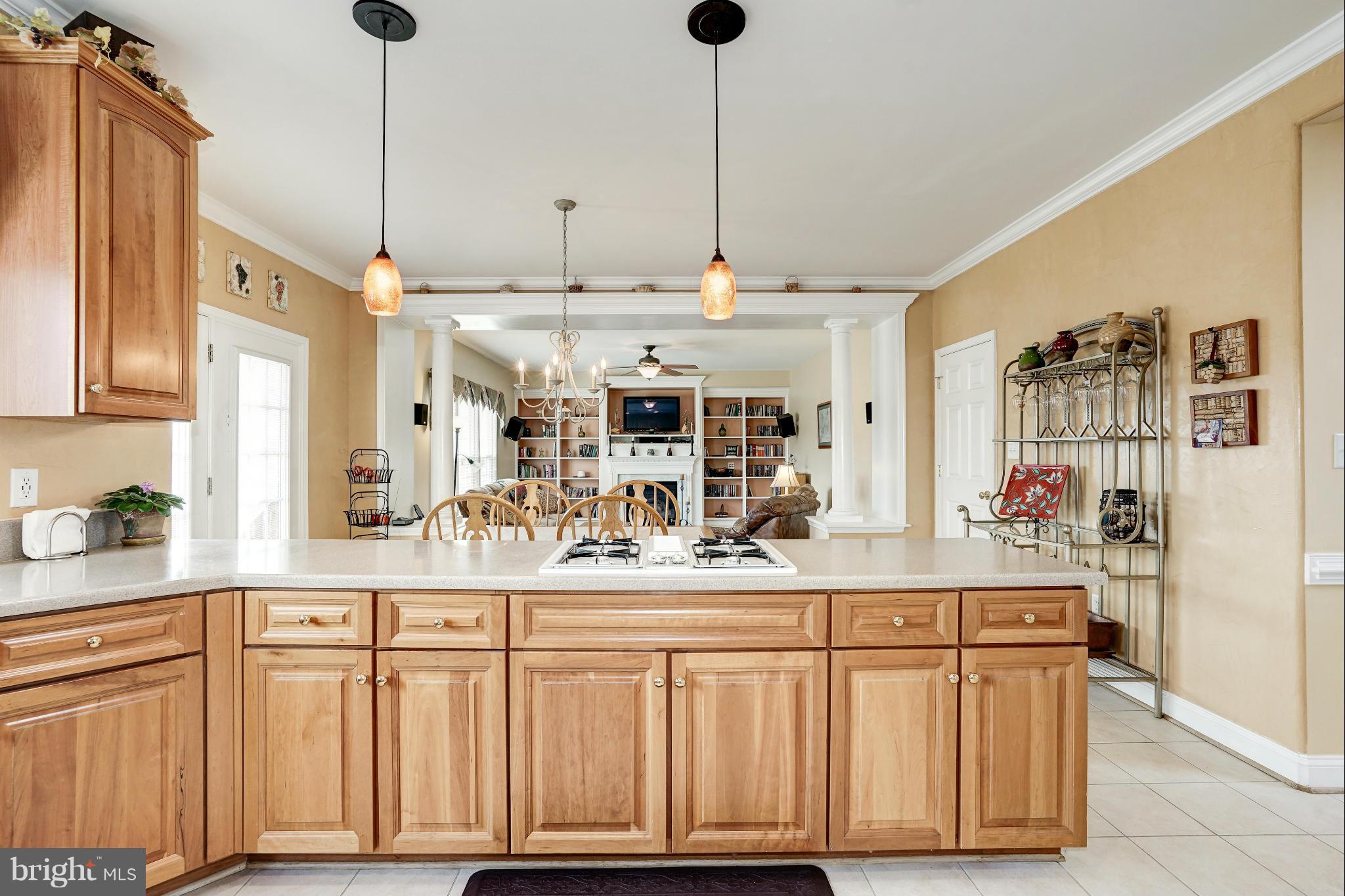 SILVER CUP - Residential