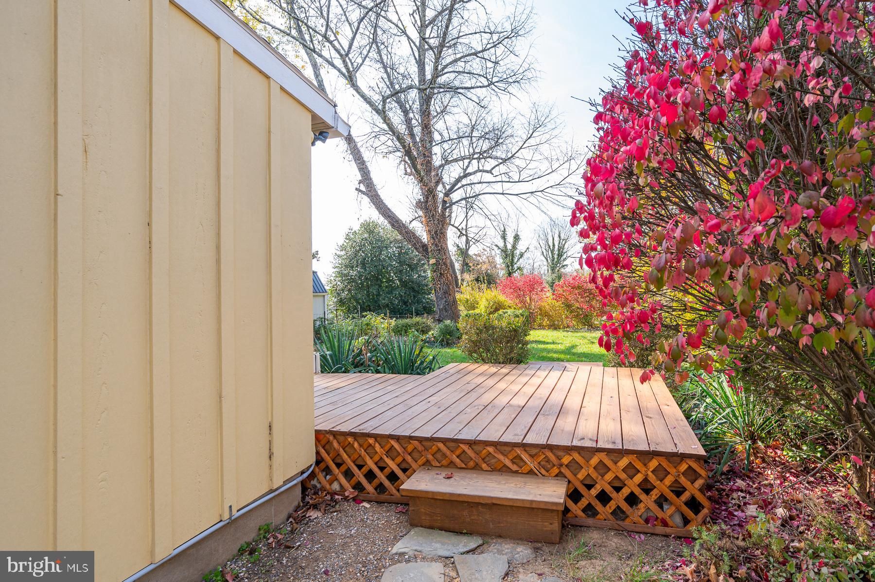 CHARLES TOWN CORPORATION - Residential Lease