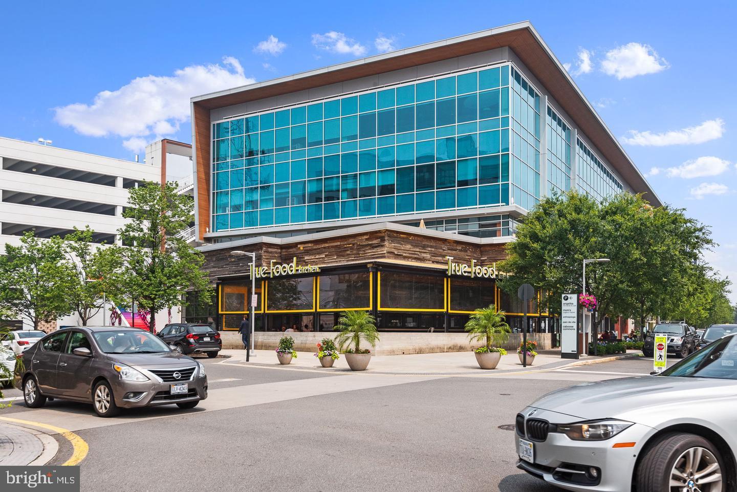 MOSAIC AT MERRIFIELD - Residential