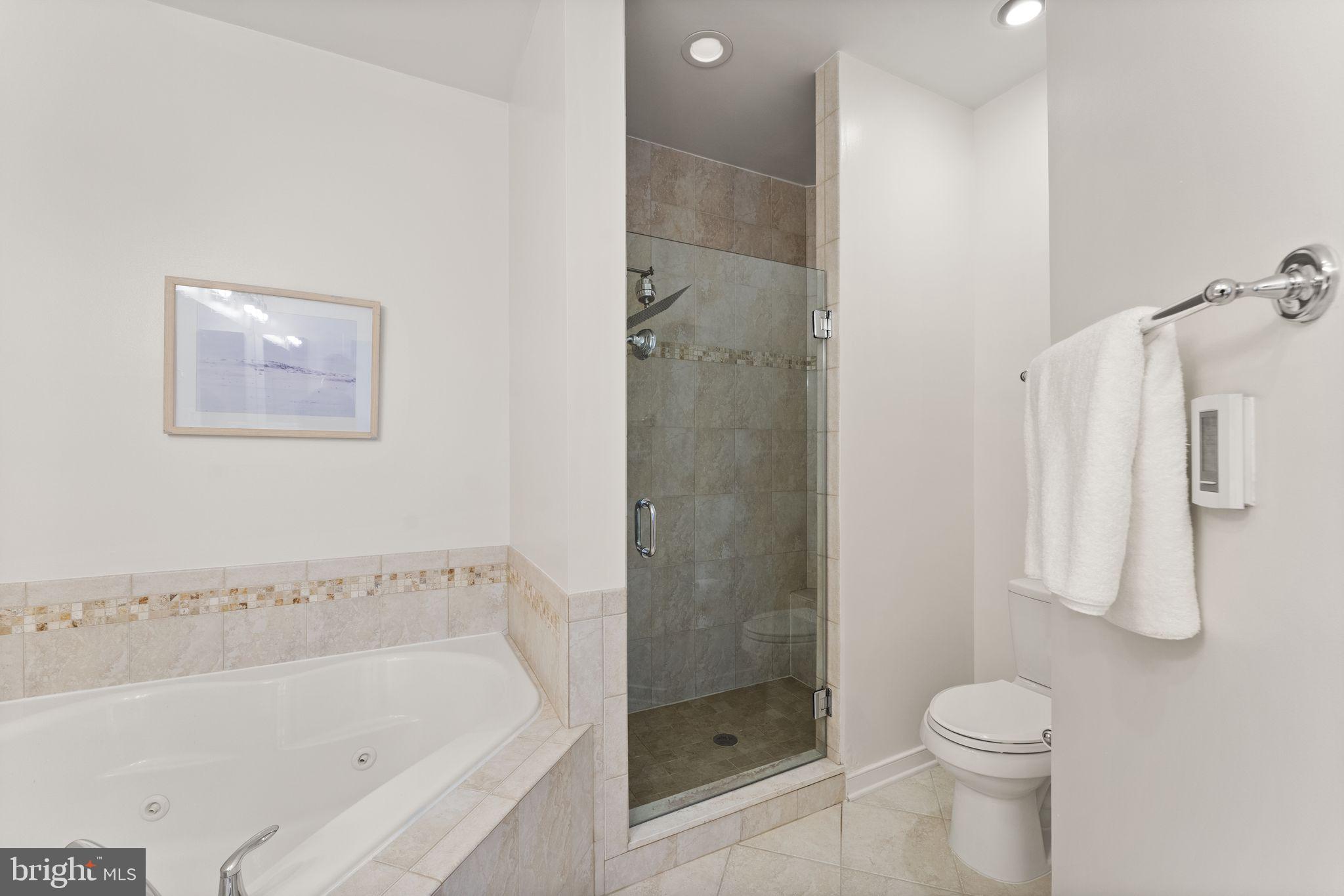 MOSAIC AT MERRIFIELD - Residential