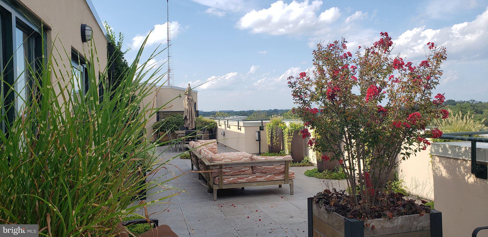 FRIENDSHIP HEIGHTS - Residential