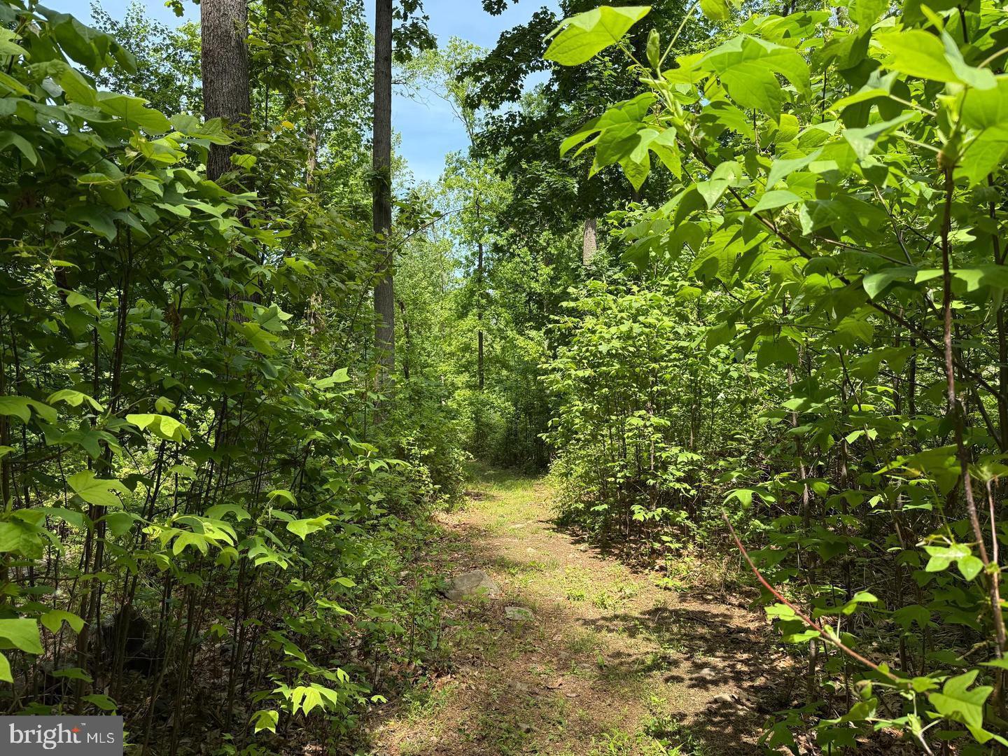 1410 LITTLE CONESTOGA ROAD