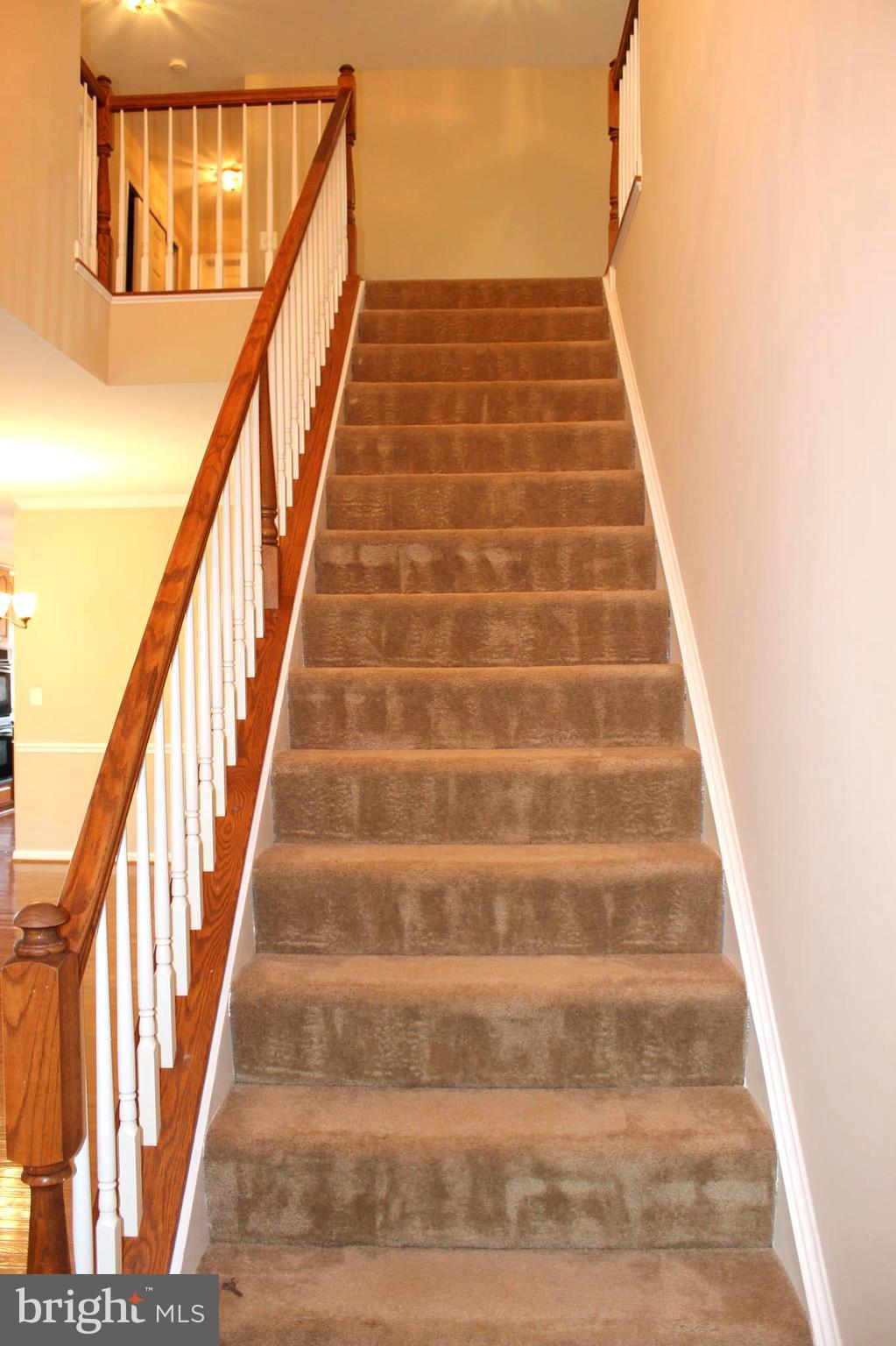 WILLOW PARK - Residential