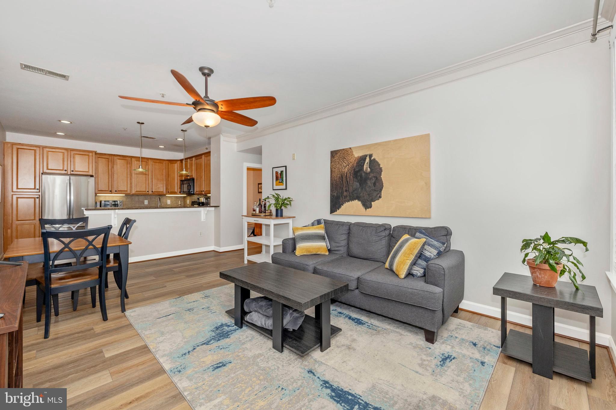 DOWNTOWN FREDERICK - Residential