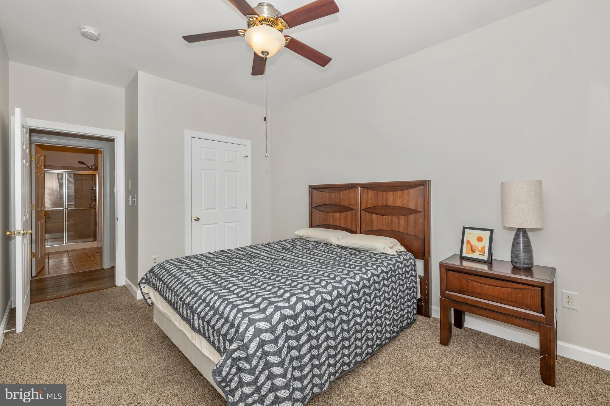 DOWNTOWN FREDERICK - Residential