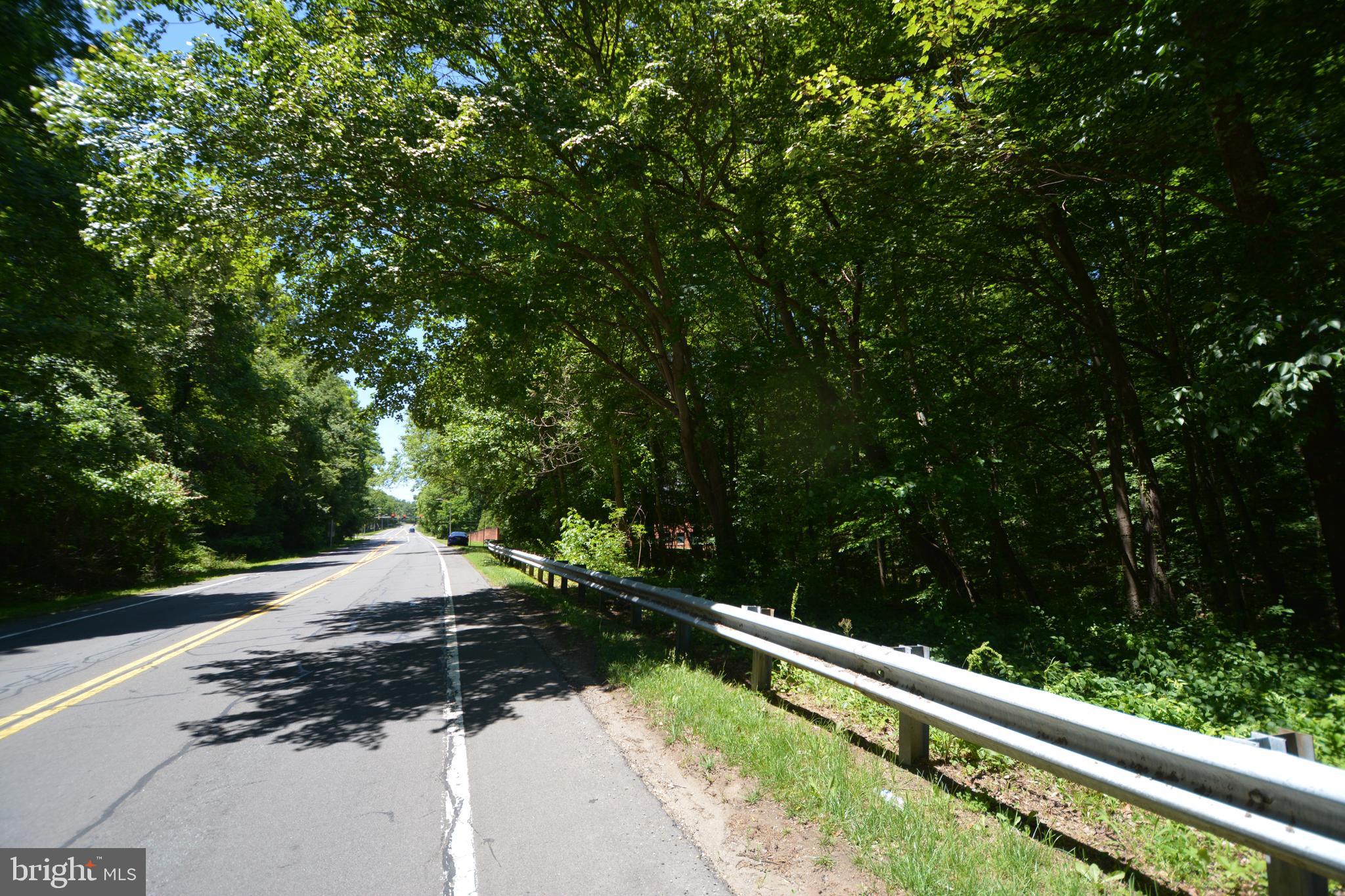 DEMOCRACY BOULEVARD