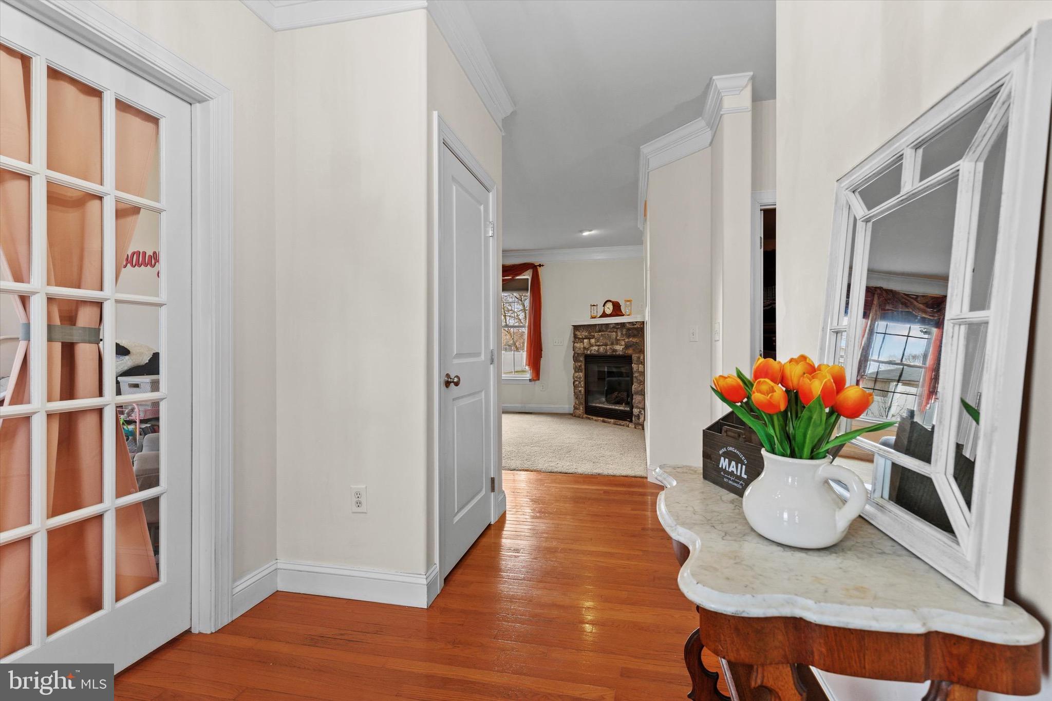 MORGANS RUN - Residential