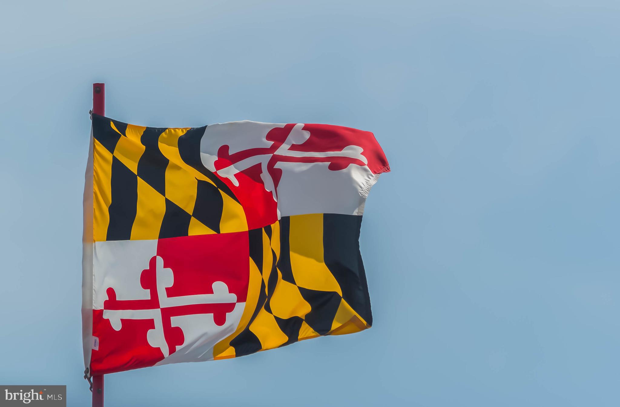 SALT LIFE PARK LLC - Residential