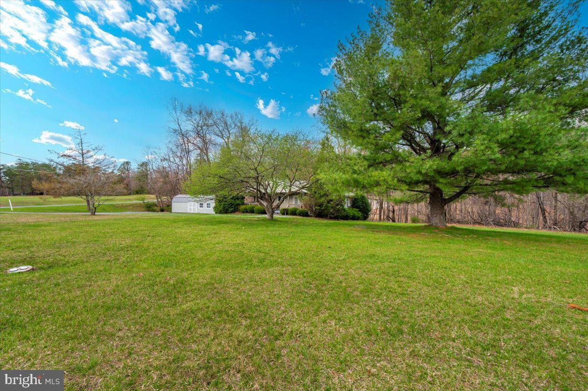 THE WOODS - Residential