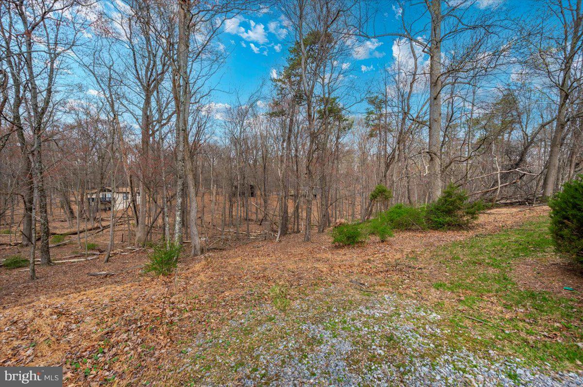 THE WOODS - Residential