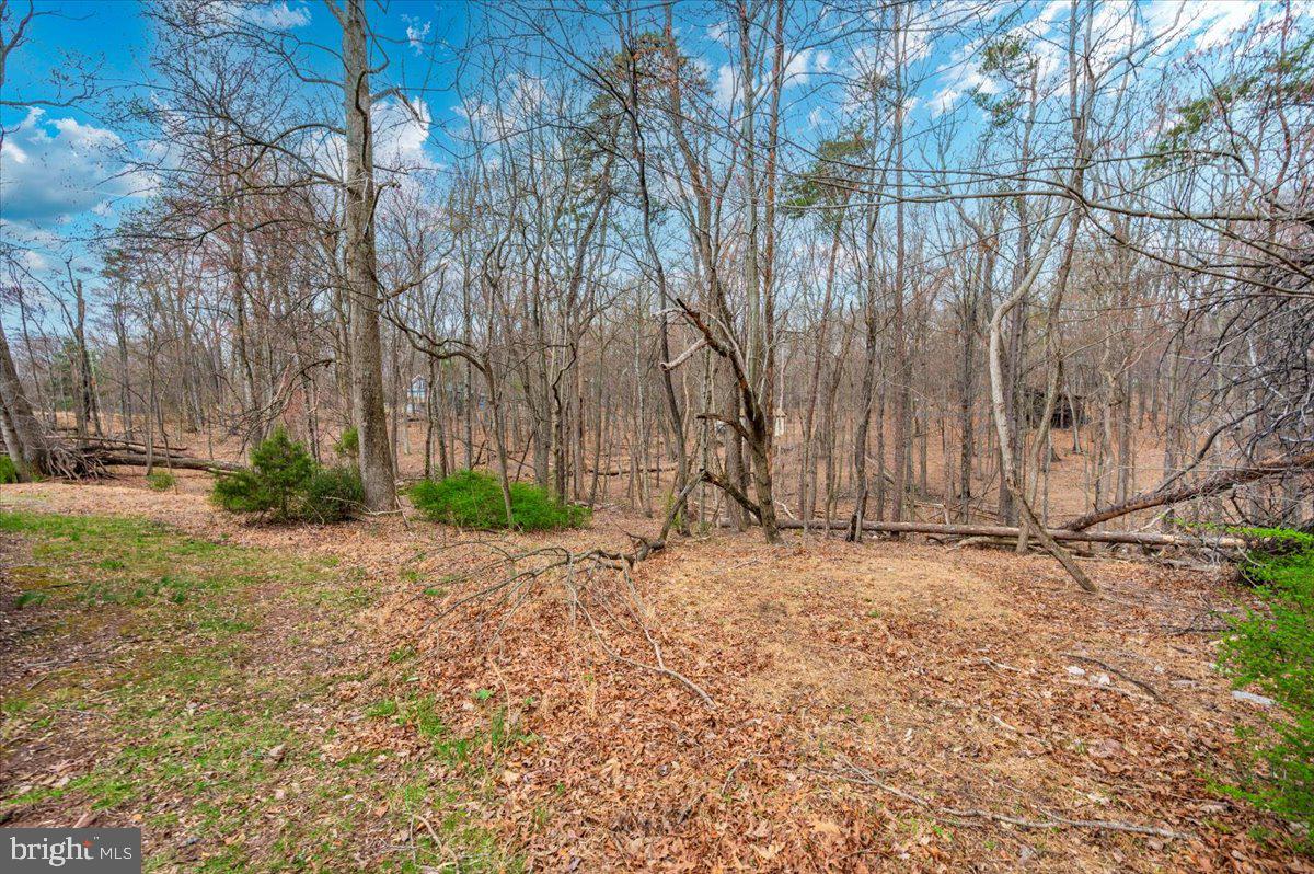 THE WOODS - Residential