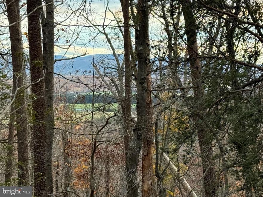 Looking for the perfect land to build your dream house? Beautiful 15 wooded acres in Luray, near the Shenandoah National Forest. Gravel Road right to the property! Well site and Perk site have been completed. Electricity is off the road and can be run anywhere on the property. Lower area of the property has been cleared and prepped. Perfect for enjoying nature, hunting, camping and hiking. Public boat ramp is just over a mile away. Massanutten forest is also right near. Look at the pictures, owners have marked a trail through the property to the top, it is not to be missed. Please call, and I am happy to meet you there for a tour if you want. It is a truely unique property Don’t miss this great opportunity to own a piece of the most beautiful areas in Virginia! Buyers can go look at the land, without agents, provided you call and get access to the gate...Be sure to send the all the listing information documents in MLS to your buyer. NOTE TO FIND THE LAND. WHEN YOU GO UP MOUNTAIN RUN ROAD AND GET TO THE GATE WITH THE NO TRESPASSING SIGN (THERE ARE 2 NEIGHBORS THAT LIVE UP THAT WAY THAT LIKE TO BE PRIVATE) TURN RIGHT ONTO THE GRAVEL ROAD. THAT IS THE REST OF MOUNTAIN RUN ROAD. YOU WILL RUN INTO A SECOND GATE IN FRONT OF YOU THAT GOES TO THIS LAND, AND ONE TO THE LEFT, WHICH SHOULD BE OPEN, AND THAT CONTINUES UP MOUNTAIN RUN ROAD..