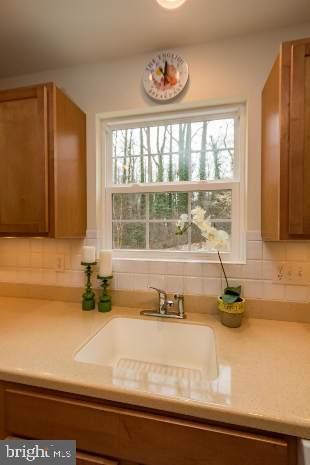 PALISADES ON THE SEVERN - Residential