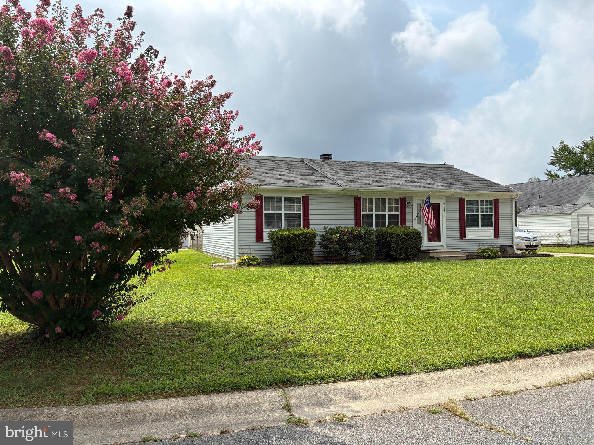 218 TAMMIE DRIVE